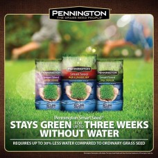 Pennington Smart Seed Perennial Ryegrass Blend Grass Seed, 3 lb   564077364